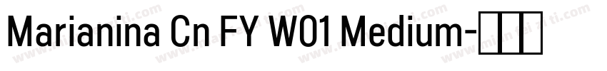 Marianina Cn FY W01 Medium字体转换
